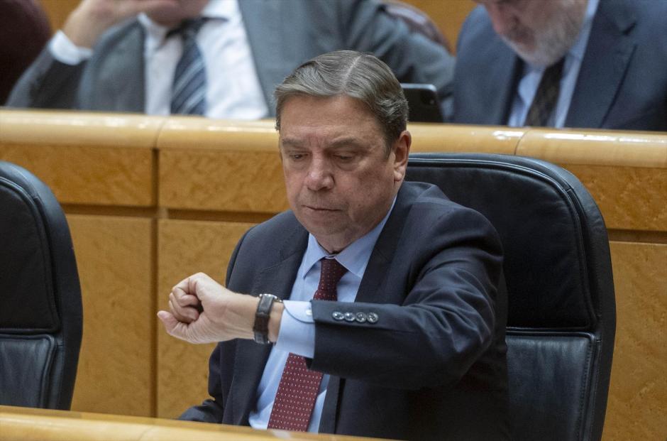 El ministro de Agricultura, Pesca y Alimentación, Luis Planas, durante una sesión de control al Gobierno, en el Senado