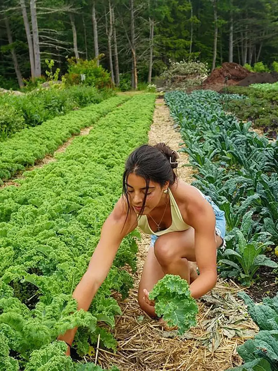 Trabajo en una granja ecológica.