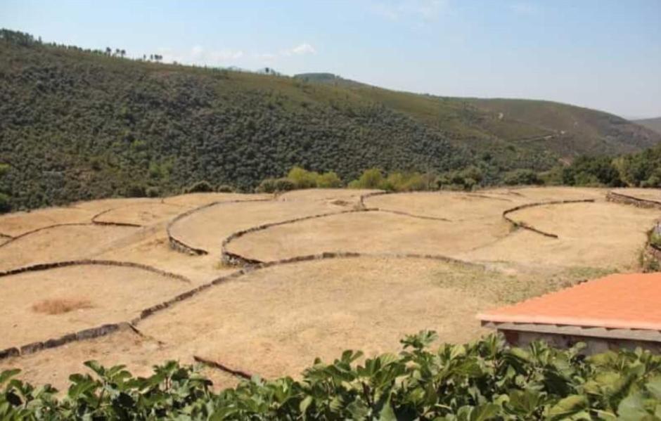 Vista sobre las Eras de Monsagro