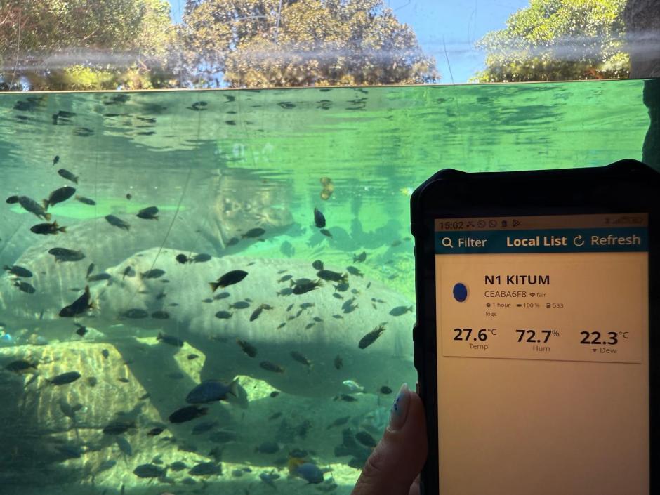 Imagen de la medición de temperaturas y sensación térmica en la zona de hipopótamos en Bioparc Valencia