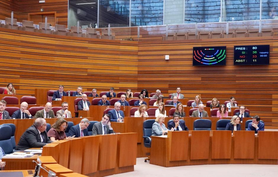 Pleno de las Cortes de Castilla y León