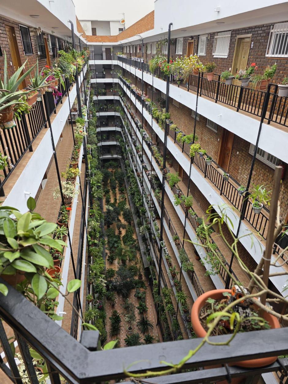 Imagen del interior del edificio selva de Málaga