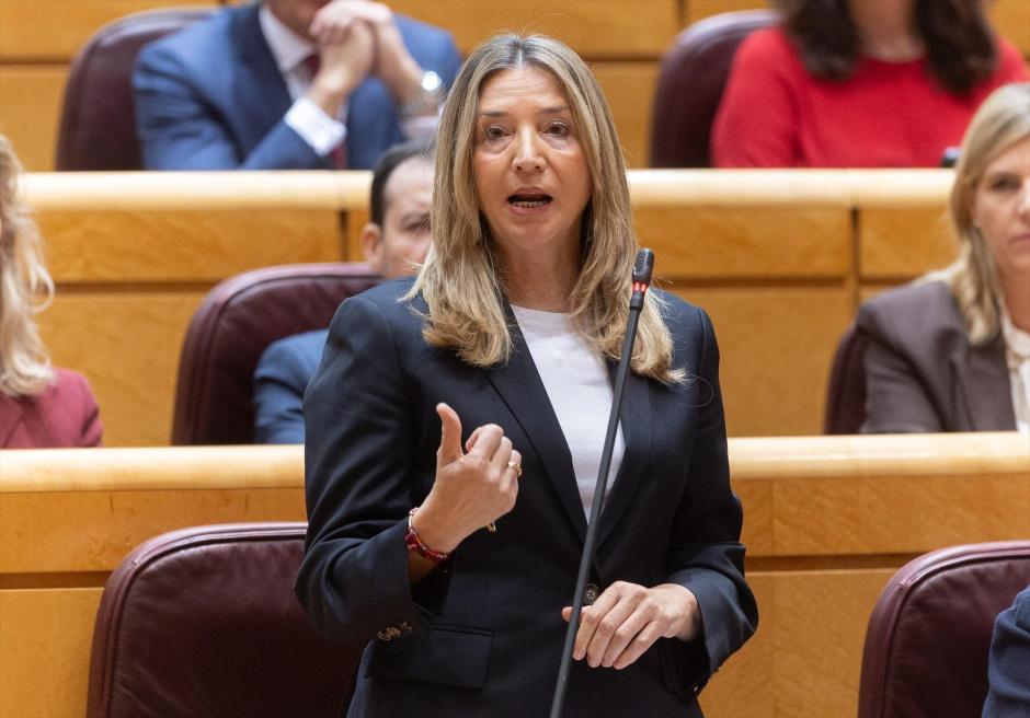 La portavoz del PP en el Senado, Alicia García
