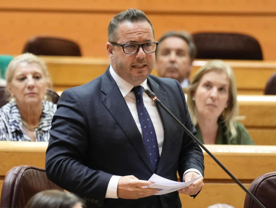 Imagen de Agustín Almodóbar durante una intervención en el Senado