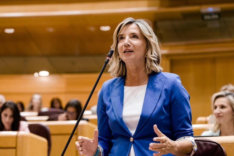 La portavoz del PP en el Senado, Alicia García