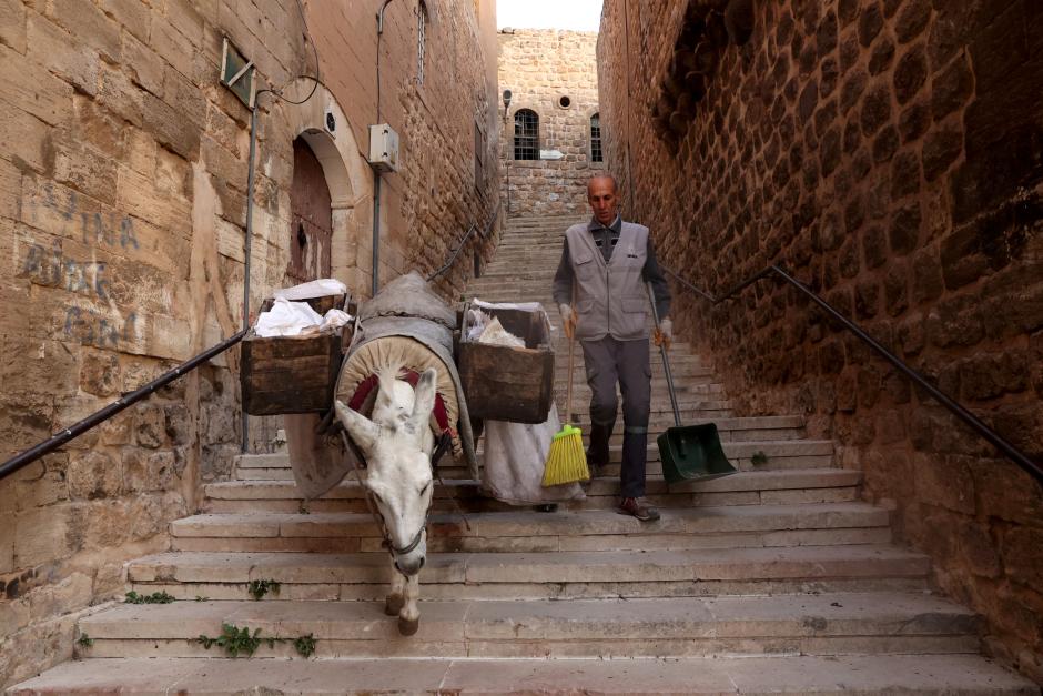 Uno de los burros de Mardin (Turquía) trabajando junto a un empleado municipal