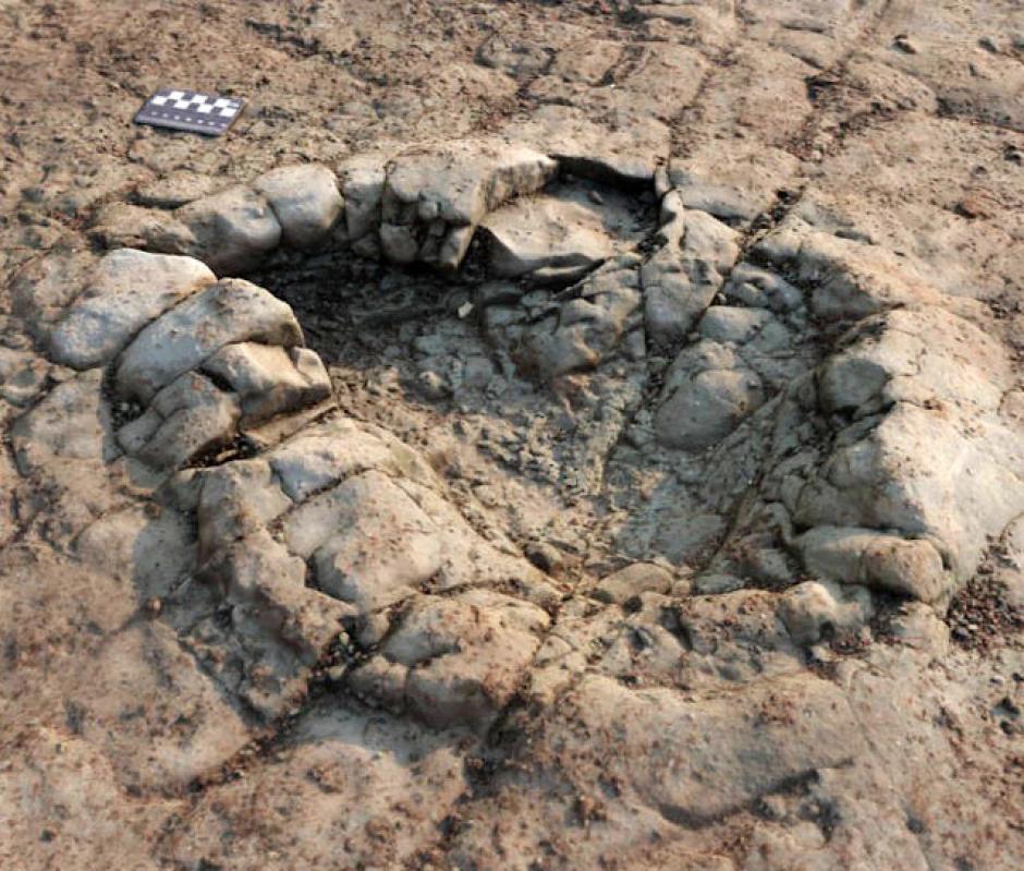 Huellas de los posibles saurópodos halladas en Gales