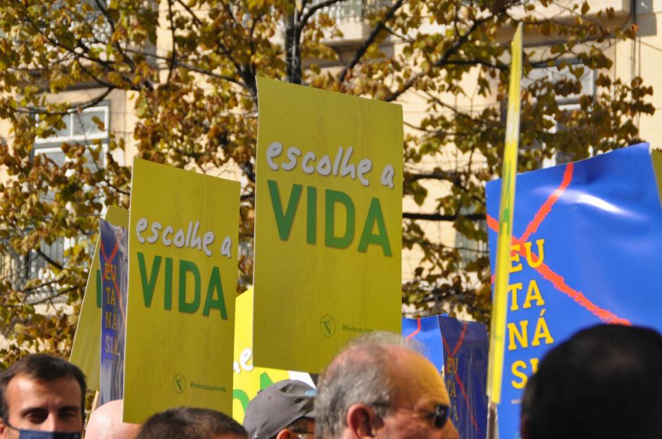 Los carteles que portaban en la manifestación pro-vida