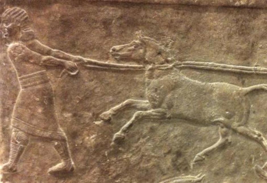 Panel de Nínive, en el que se muestra la captura de un asno salvaje