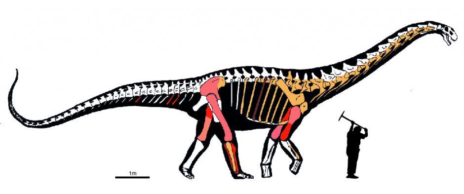 Silueta del dinosaurio encontrado en la provincia de Lérida