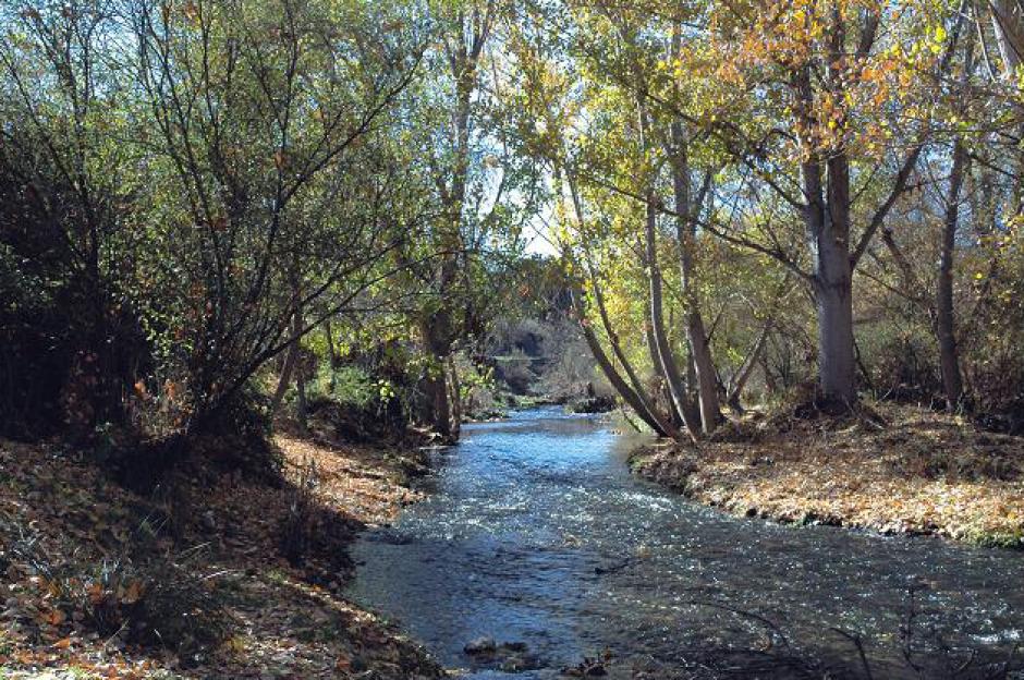 Parque Regional del Curso Medio del río Guadarrama