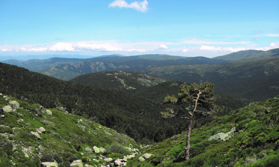 Parque Nacional de la Sierra de Guadarrama