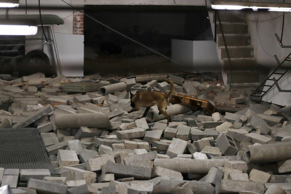 Una nave industrial llena de escombros sirve como entrenamiento para los perros encargados del rescate de personas
