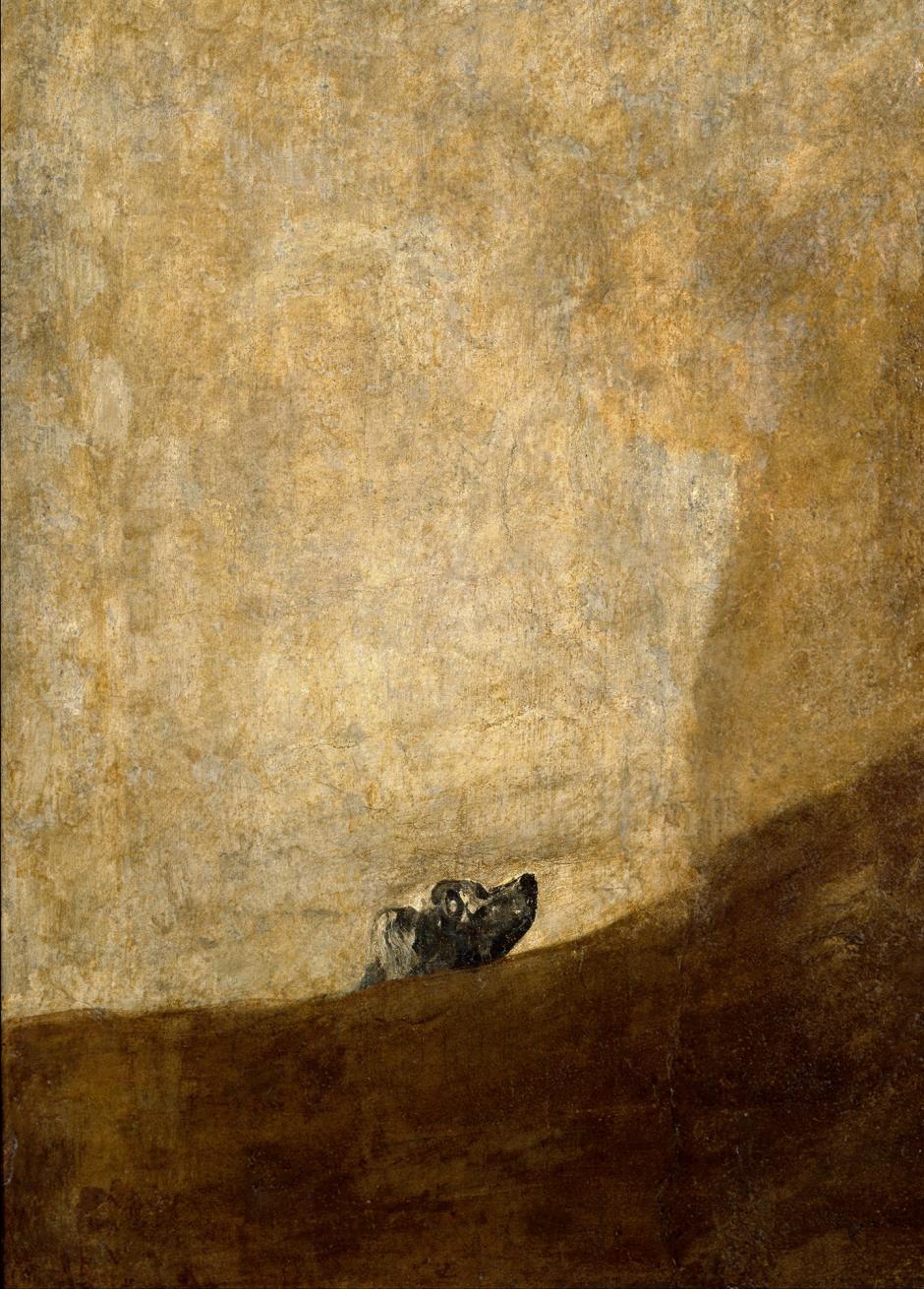 'Perro semihundido'. Francisco de Goya.
