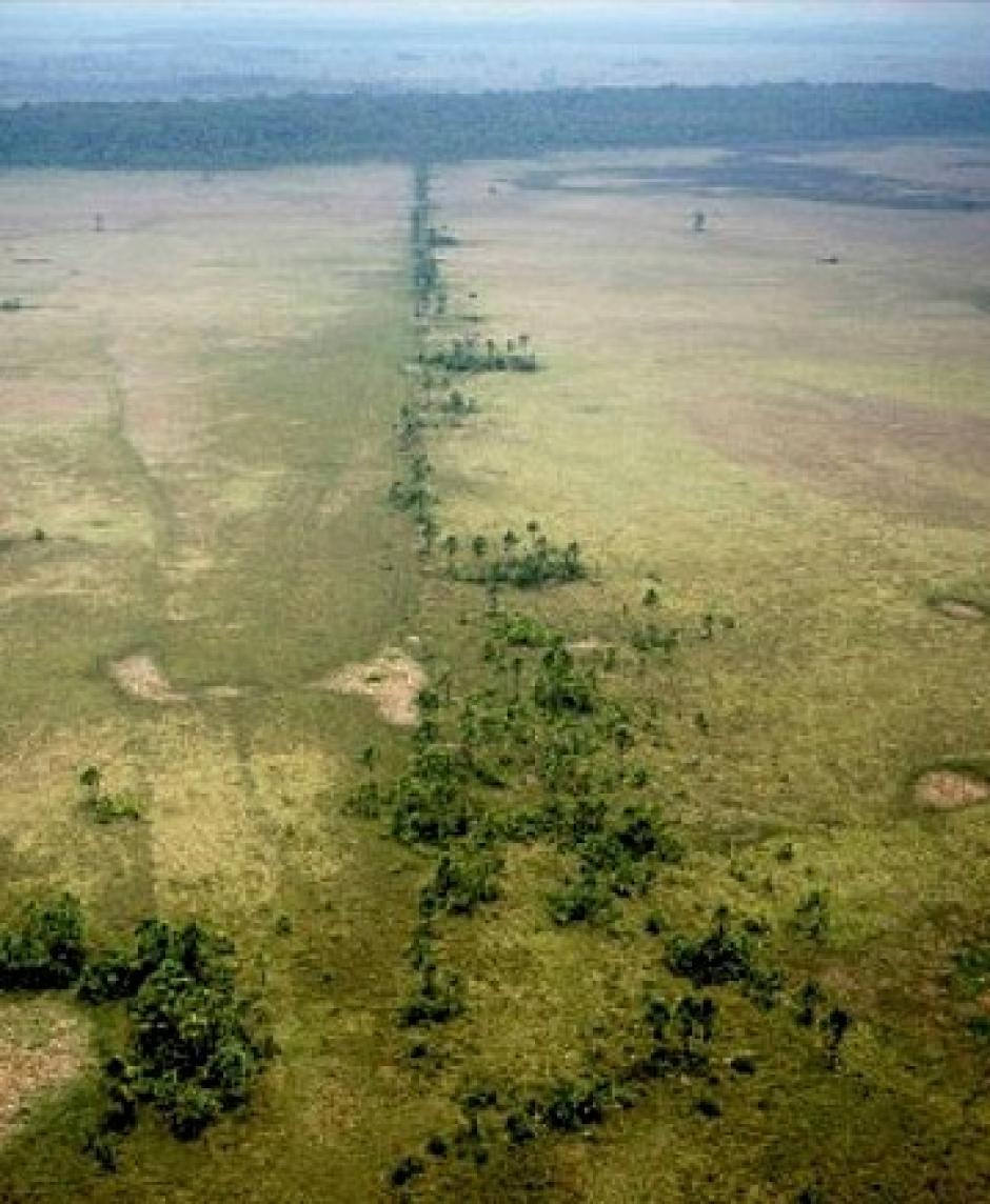 En Llanos de Moxos se atisban las largas calzadas hechas por la mano casarabe