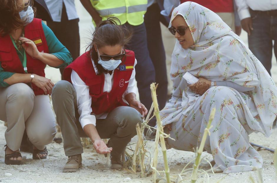 Doña Letizia comprueba con sus propias manos cómo se realizan los cultivos en este proyecto de la cooperación española en Mauritania