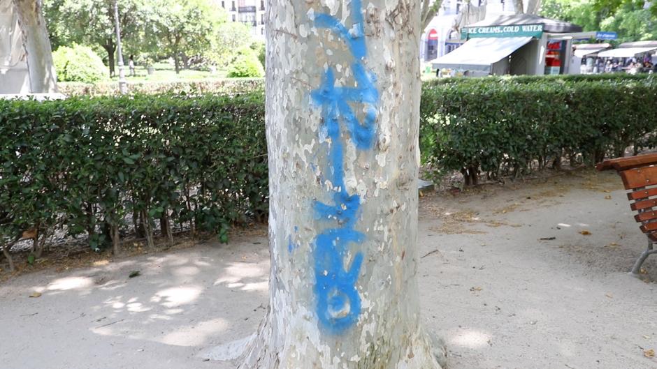 Grafiti en un árbol en la calle Vergara de Madrid.
