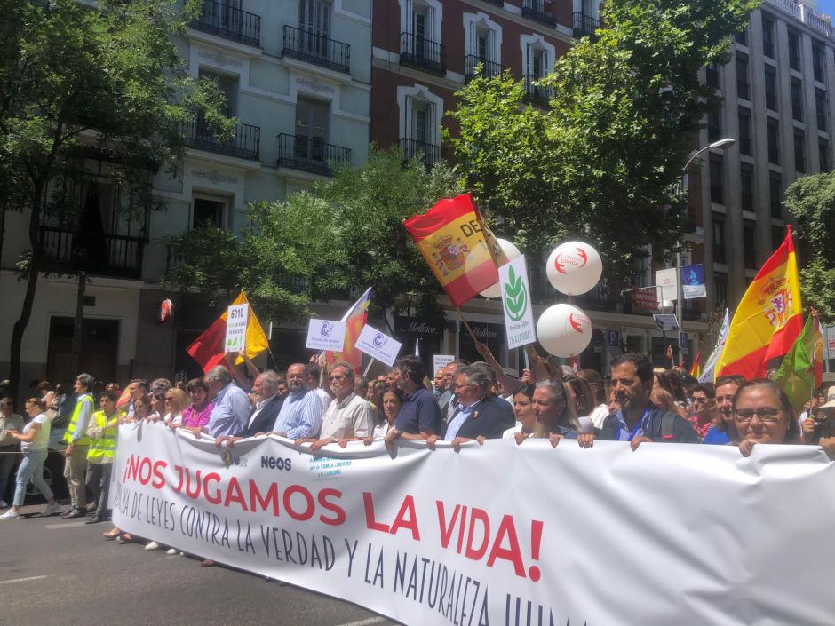Alfonso Bullón de Mendoza en la Manifestación por la Vida y la Verdad