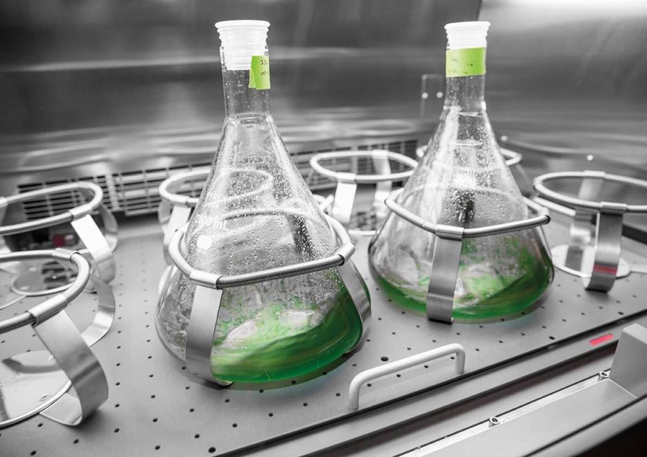 Combustible sintético desarrollado en laboratorio por Audi