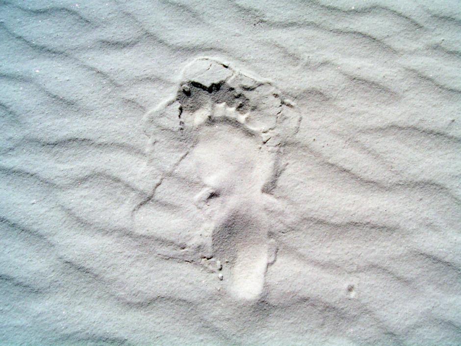 Huellas de pisadas fosilizadas de una mujer y un niño en White Sands