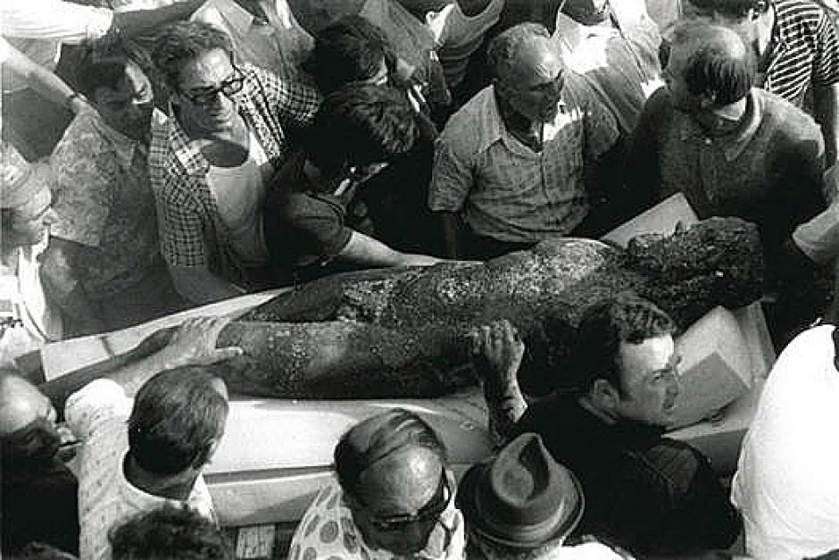 El descubrimiento de las estatuas el 16 de agosto de 1972