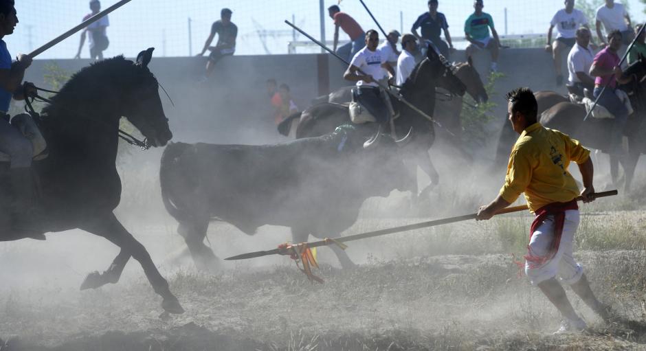 Festejo del Toro de la Vega en 2011