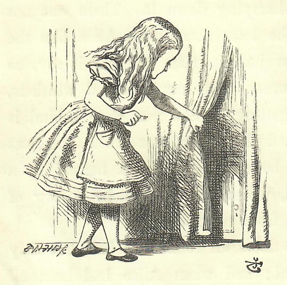 Por la madriguera del conejo, 1868.