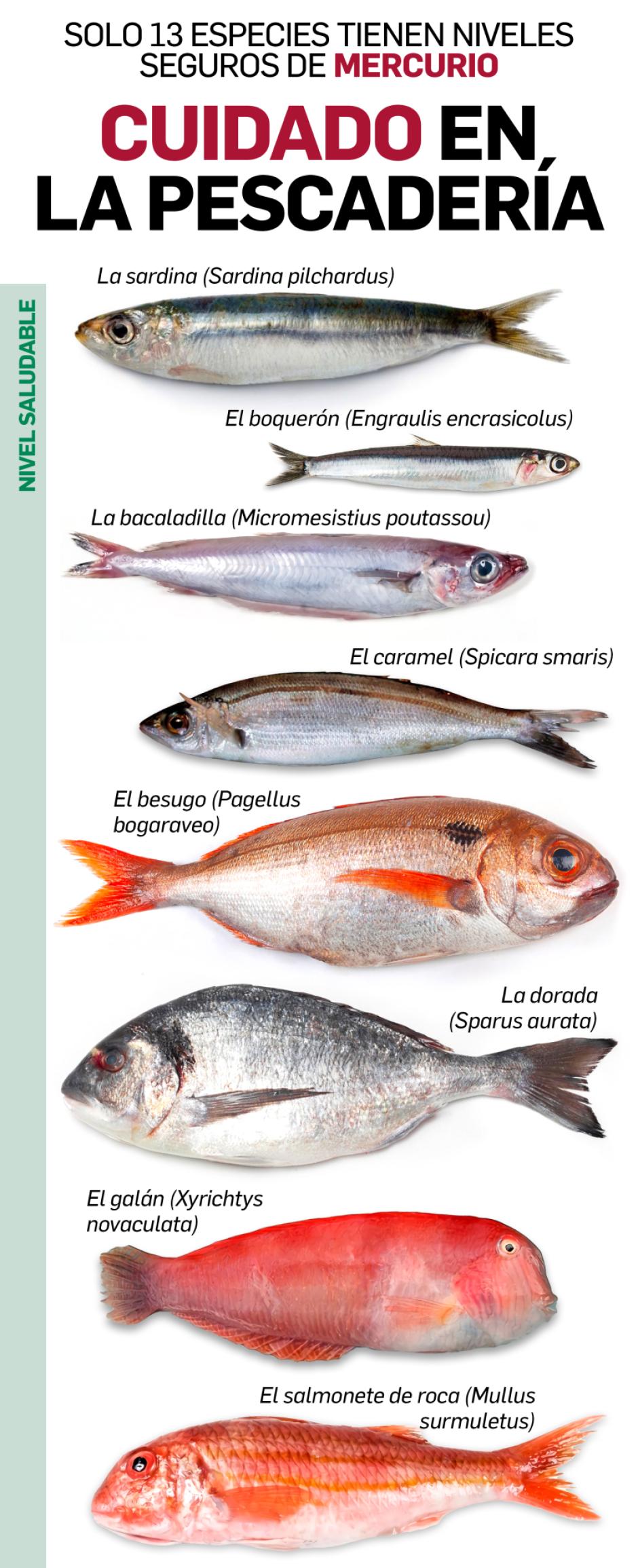 Los peces con menos mercurio de la pescadería