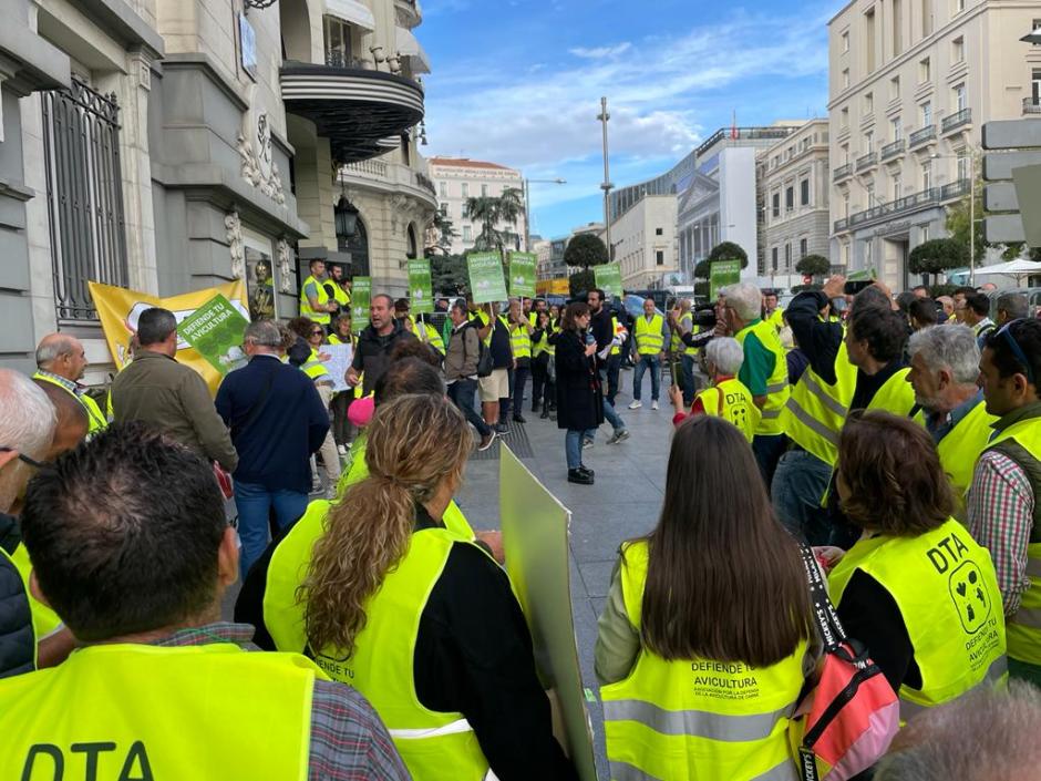 Los avicultores exigen en Madrid el cumplimiento de la ley de cadena alimentaria