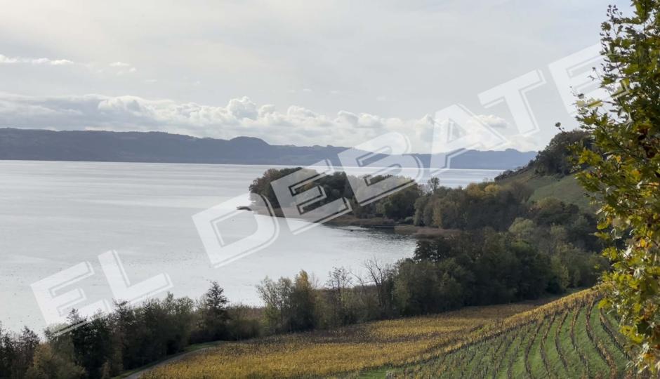 Las vistas al lago de Neuchâtel y a los viñedos de la casa de Jordi Cuixart
