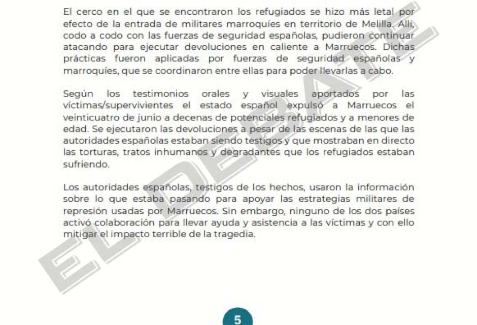 Informe de Caminando Sin Fronteras sobre la tragedia de Melilla (III)