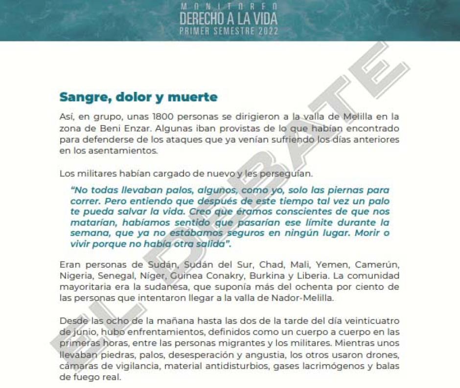 Informe de Caminando Sin Fronteras sobre la tragedia de Melilla (IV)