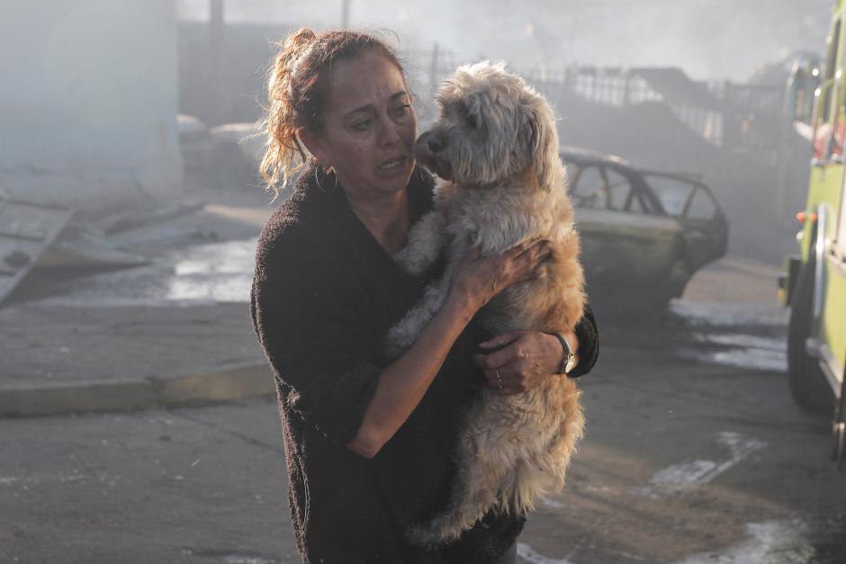 A woman carries her dog after a forest fire destroyed her home in the hills of Viña del Mar, in the Valparaiso region, Chile, on December 23, 2022. - At least two people died and some 400 homes have been damaged or destroyed in a fire that broke out Thursday in the Chilean seaside resort of Vina del Mar, prompting the government to declare a state of emergency. (Photo by JAVIER TORRES / AFP)