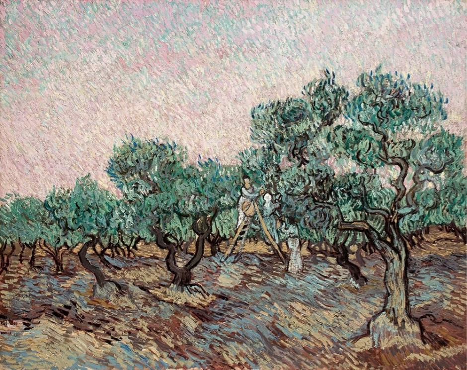 El cuadro de La cueillette des olibves de Van Gogh