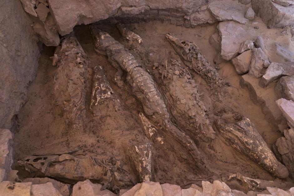 Se piensa que las momias de cocodrilo podrían haber servido como intermediario entre los humanos y el dios Sobek, a menudo representado con una cabeza de cocodrilo