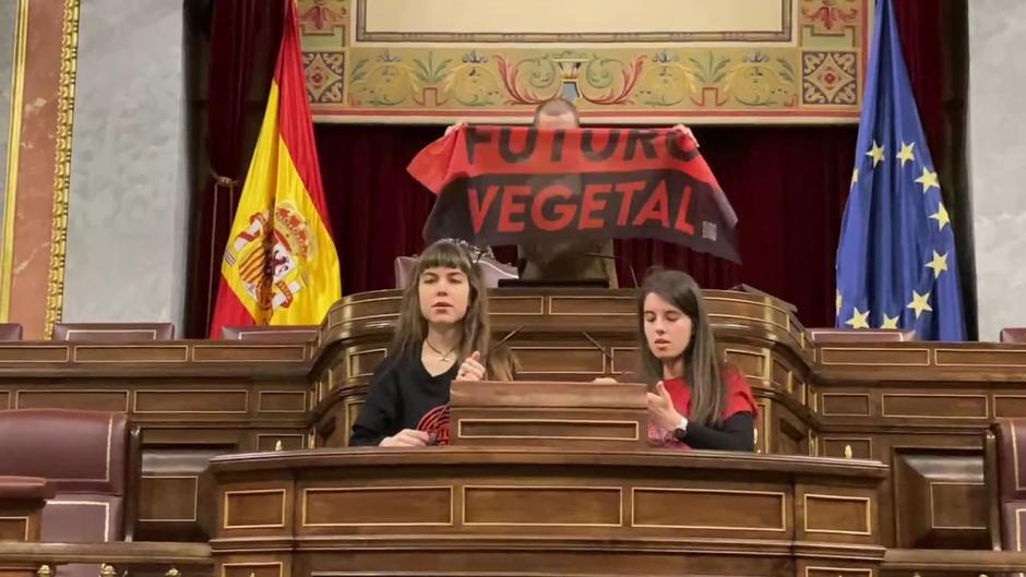 Tres activistas de 'Futuro Vegetal' se pegan al atril del Congreso