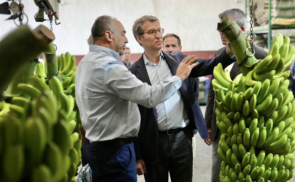 Alberto Núñez Feijóo durante su visita a una empresa empaquetadora de plátanos, a 17 de febrero de 2023, en Los Llanos de Aridane, La Palma, Santa Cruz de Tenerife
