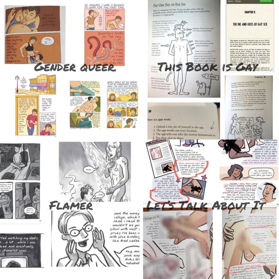Algunos de los "libros pornográficos" que las asociaciones de padres proponen prohibir en las escuelas