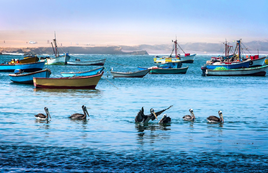 La pesquería peruana, junto con la pesquería de Hokkaido, la pesquería de Terranova y la pesquería del Mar del Norte, son conocidas como las cuatro pesquerías más grandes del mundo