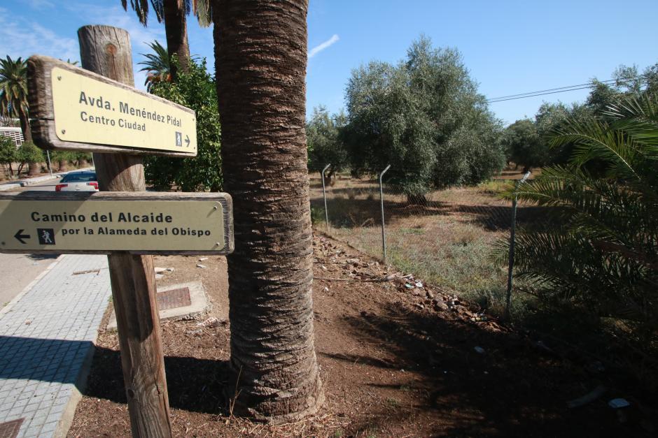 Suelos del futuro parque de bomberos en la Alameda del Obispo