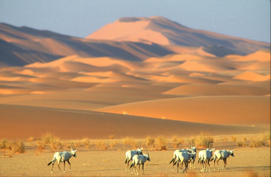 Desiertos de ‘Uruq Bani Ma’arid, en Arabia Saudí