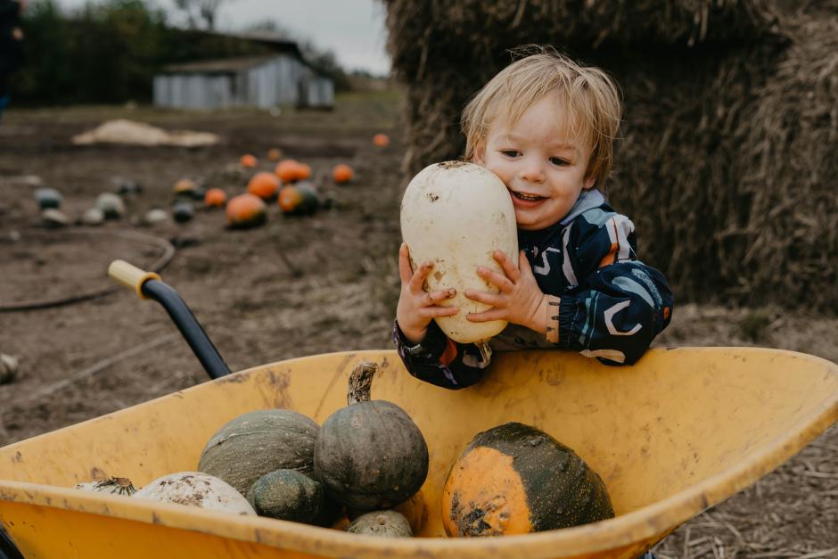 Pasar un día en el campo recogiendo calabazas, castañas o setas