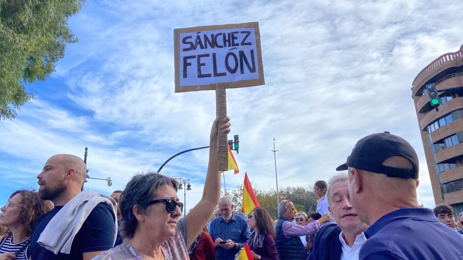 Manifestantes en Valencia