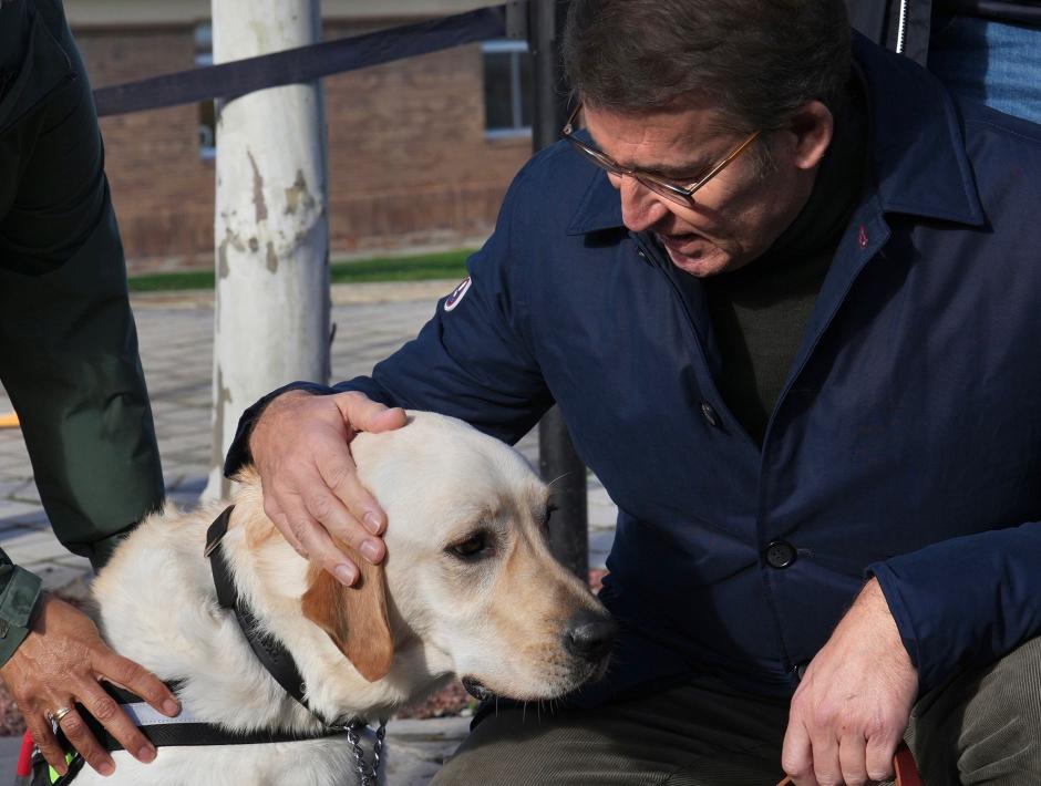 El presidente del PP, Alberto Núñez Feijóo, en la ONCE con un perro guía