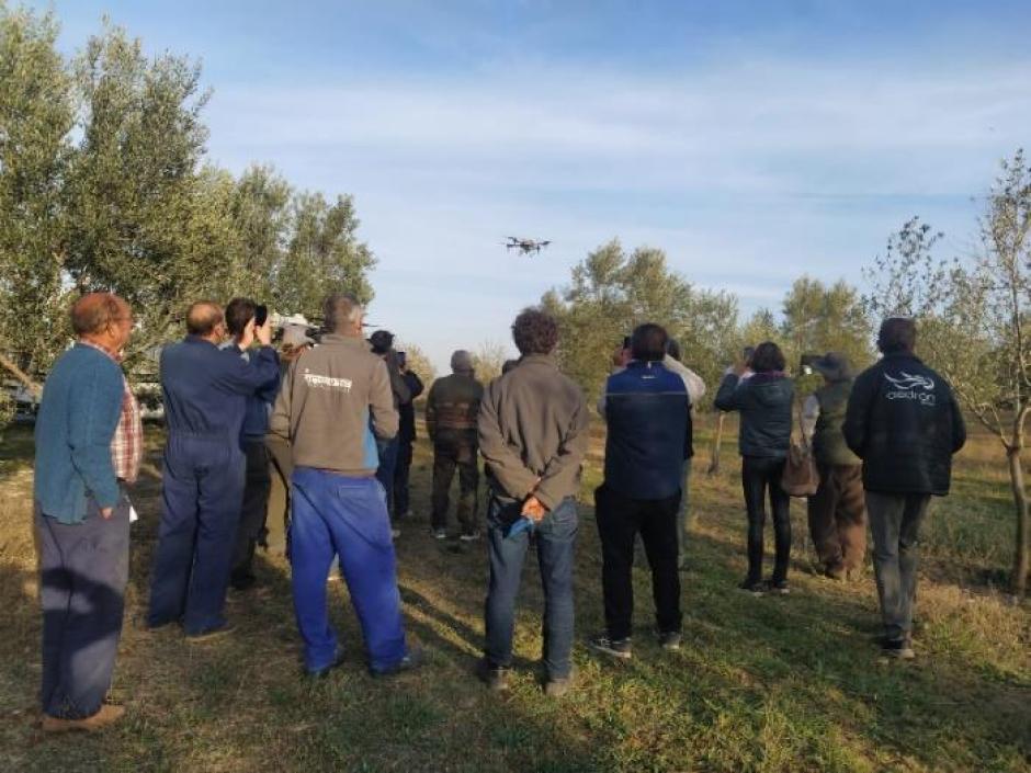 Experimentación en campos de manera remota (imágenes con dron)