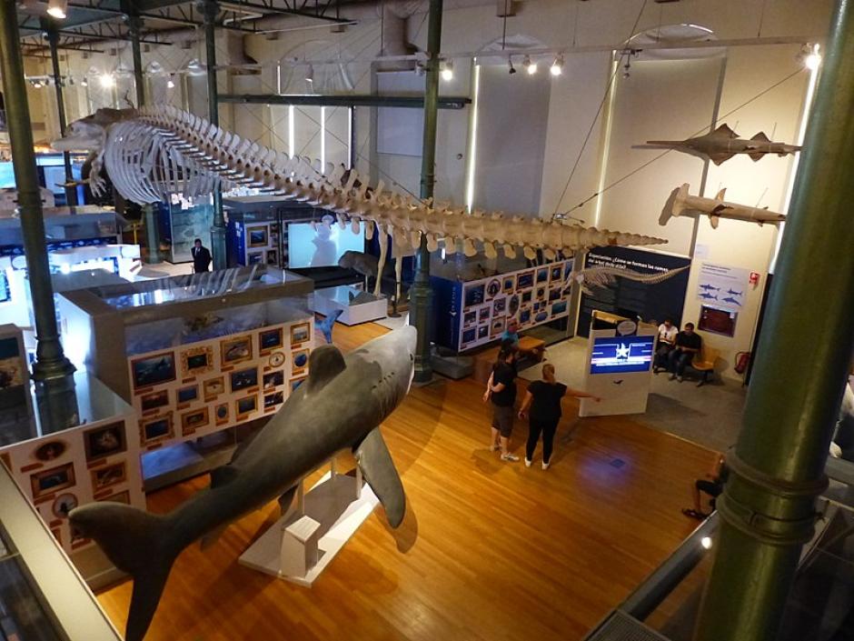 Interior del Museo Nacional de Ciencias Naturales de Madrid