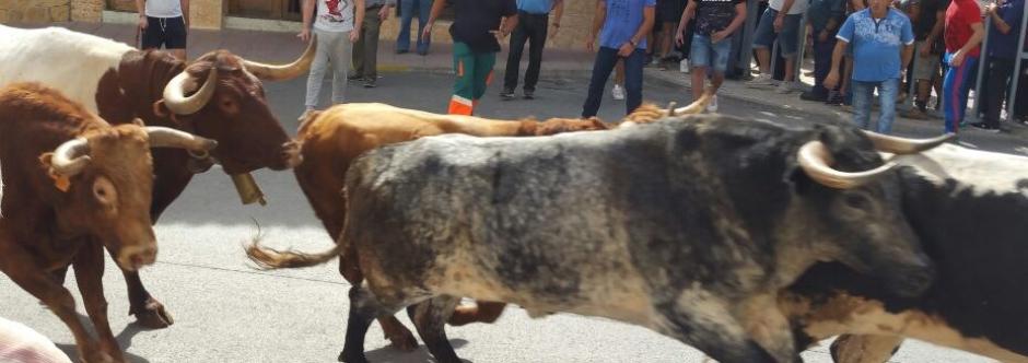 Un festejo de bous al carrer en Castellón