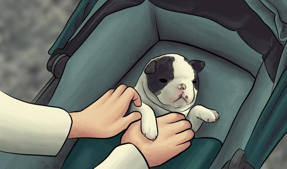 Ilustración bebe perro