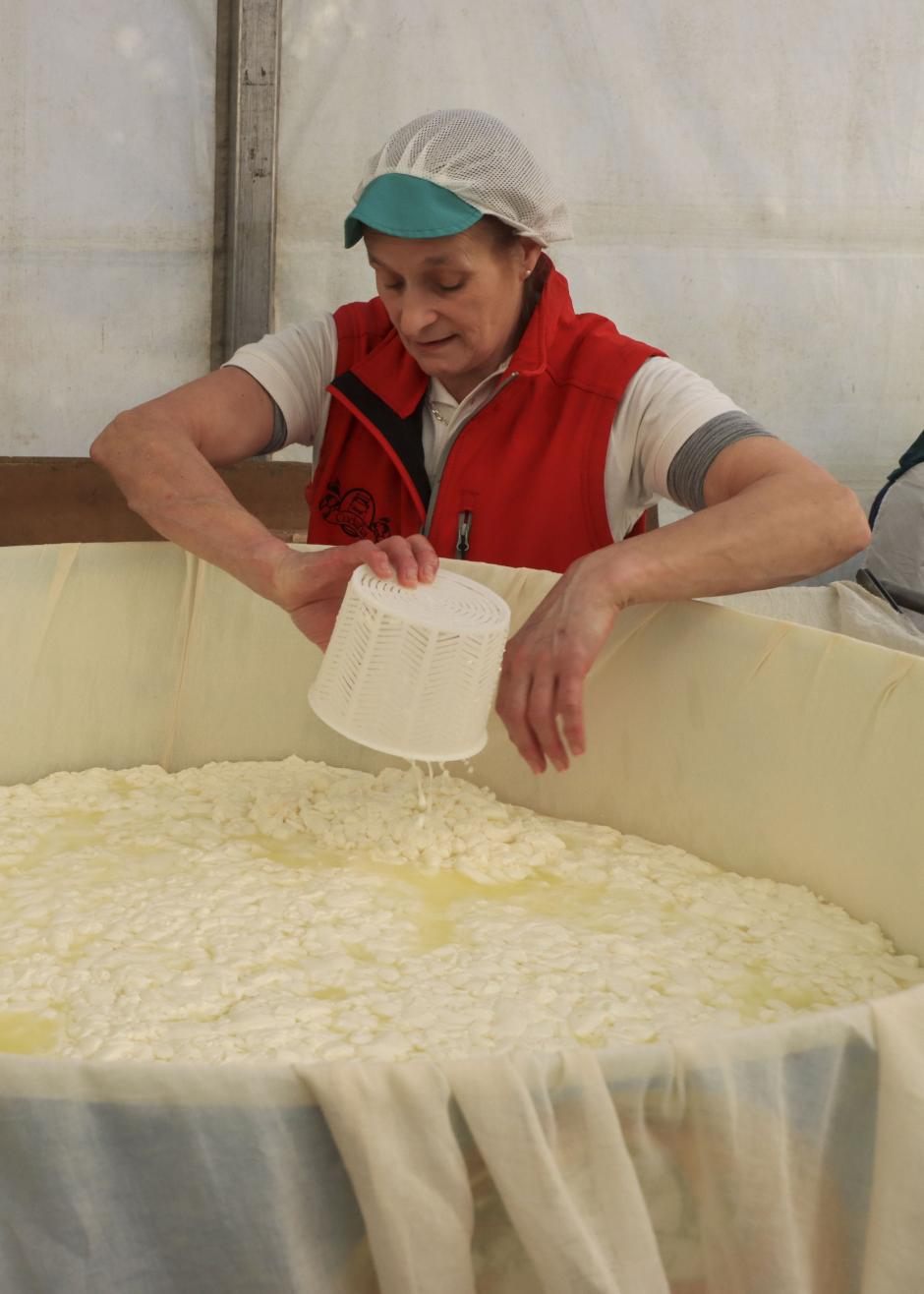 Elaboración del queso en Ruiloba