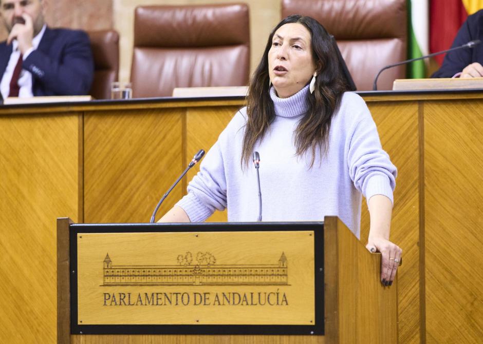 La consejera de Igualdad, Loles López, en su comparecencia en el Parlamento de Andalucía